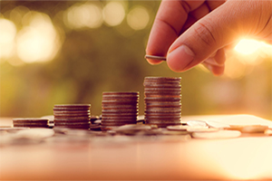 Adoption Costs