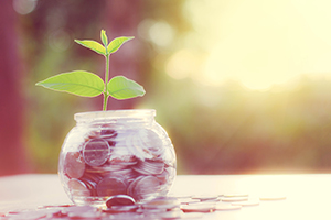 Affording Adoption